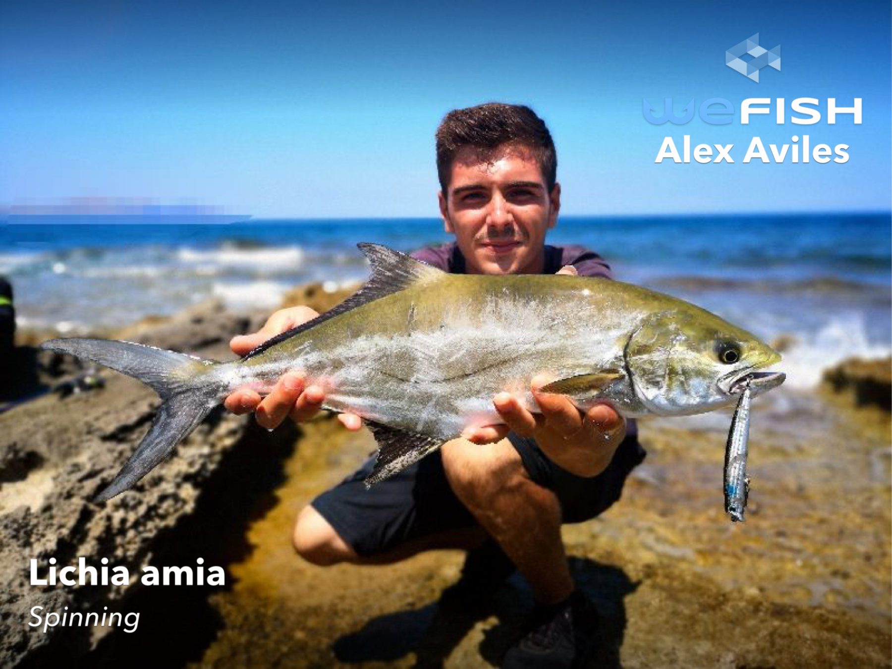 Palometa y palometón