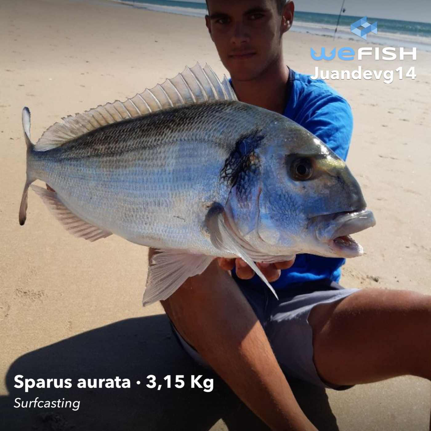 Captura por surfcasting en playa