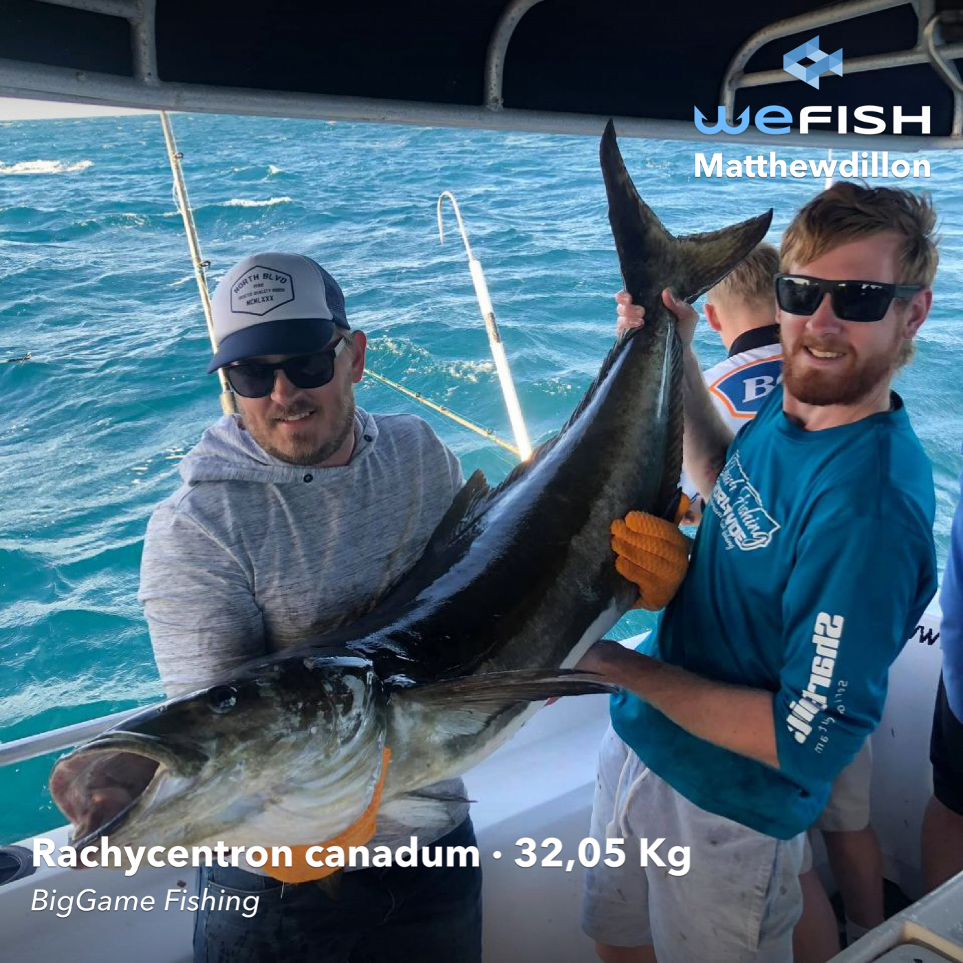 Cobia capturada mediante pesca de altura