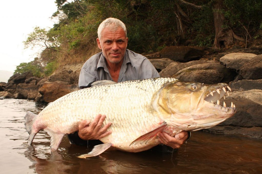 TigerFish
MOST DANGEROUS FISH IN THE WORLD 
Fishing app Wefish