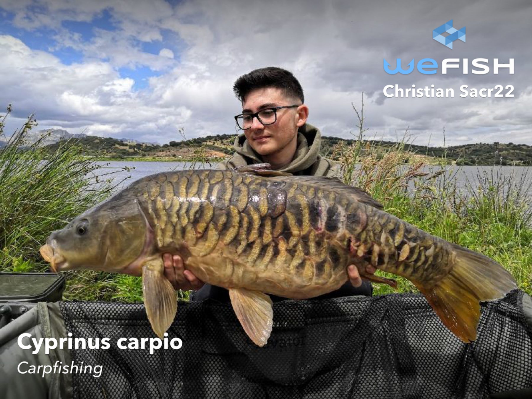 Tipos de pesca: Carpfishing