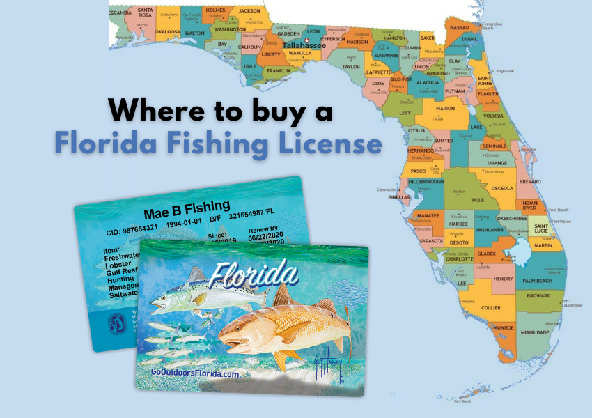 Where to Buy a Florida Fishing License?