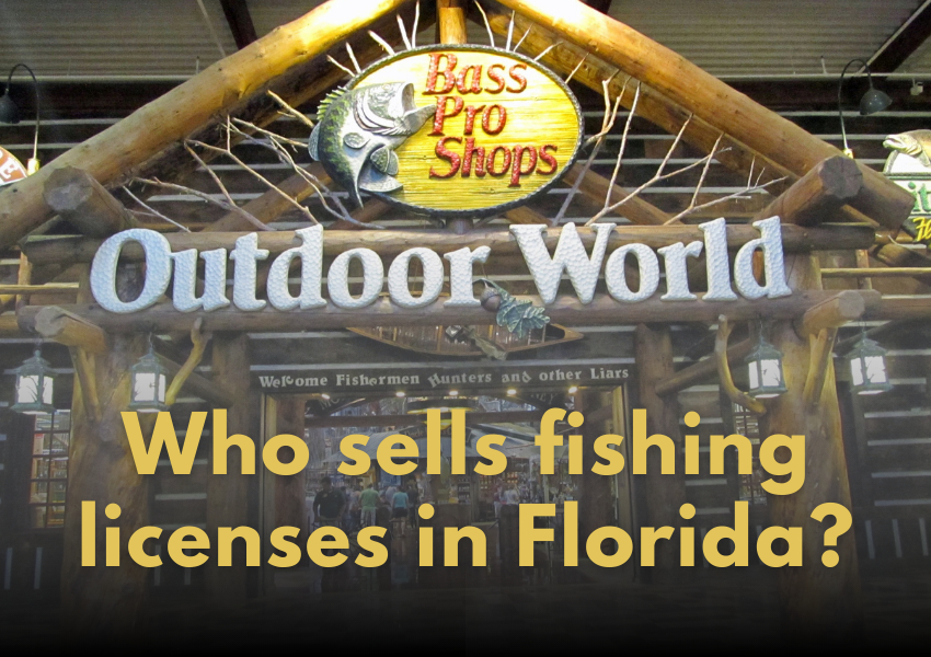 Where to Buy a Florida Fishing License?