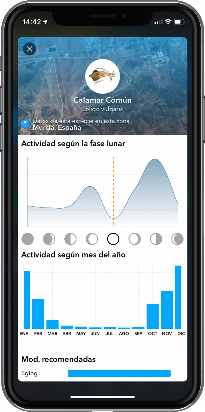 Las mejores épocas del año son entre finales de diciembre y principios de febrero.