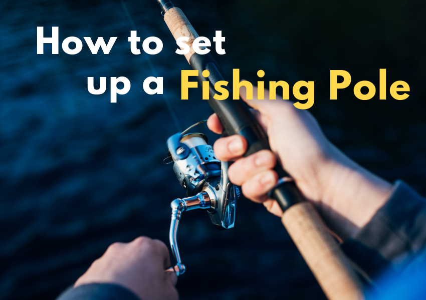 Setting up a Paddle Fishing pole video 3  Hey all! Here is the last video  of three setting up a Paddle Fishing pole! We hope that it has been full of