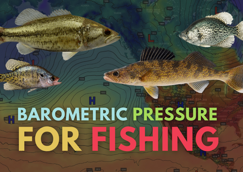 Barometric Pressure - A fishy myth or a an untapped resource? - Slaney  Fishing
