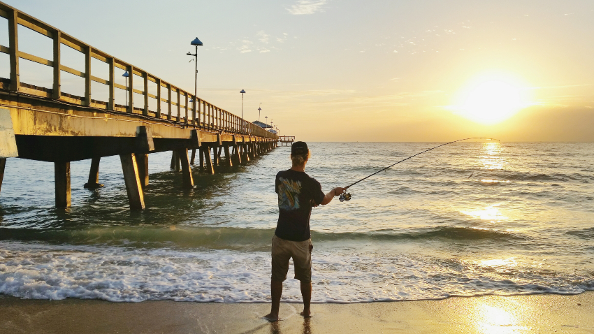 caña de surfcasting