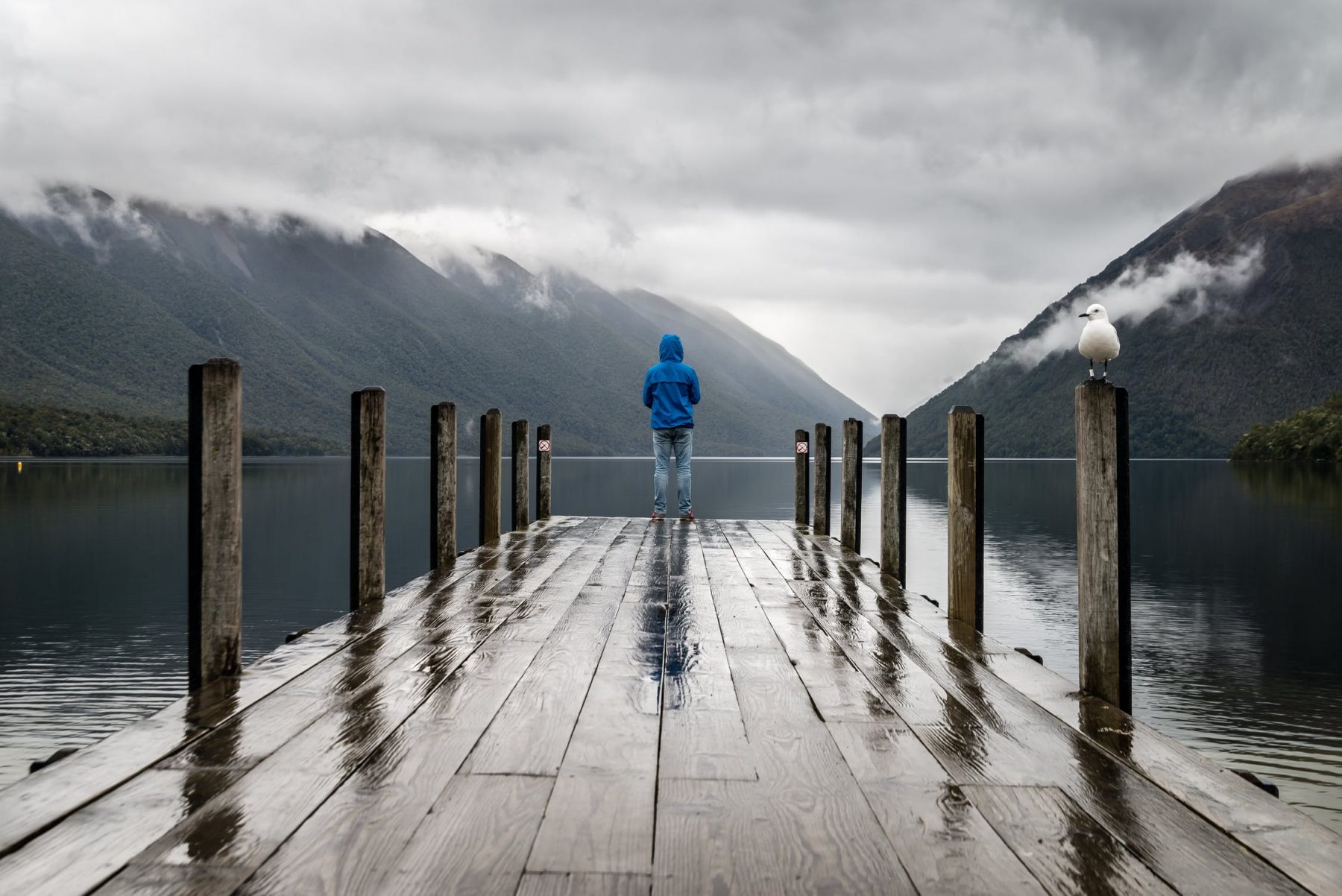 fishing in the rain