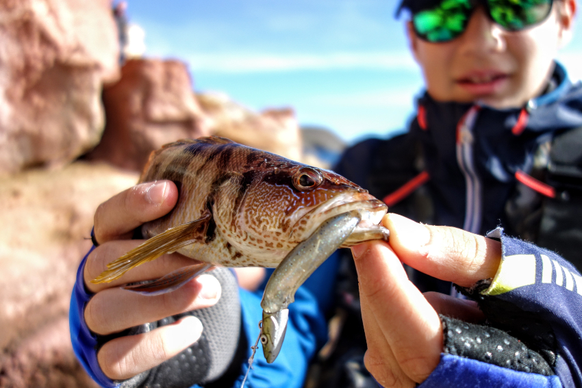 fotos de pesca