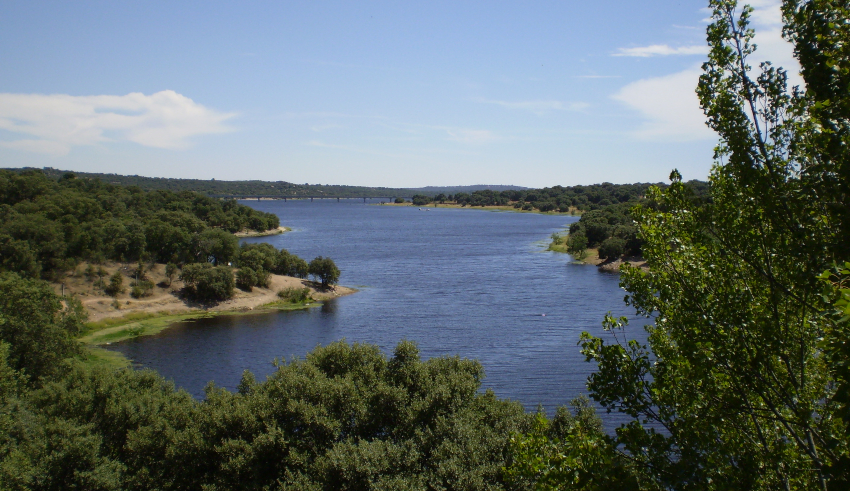 pesca en madrid