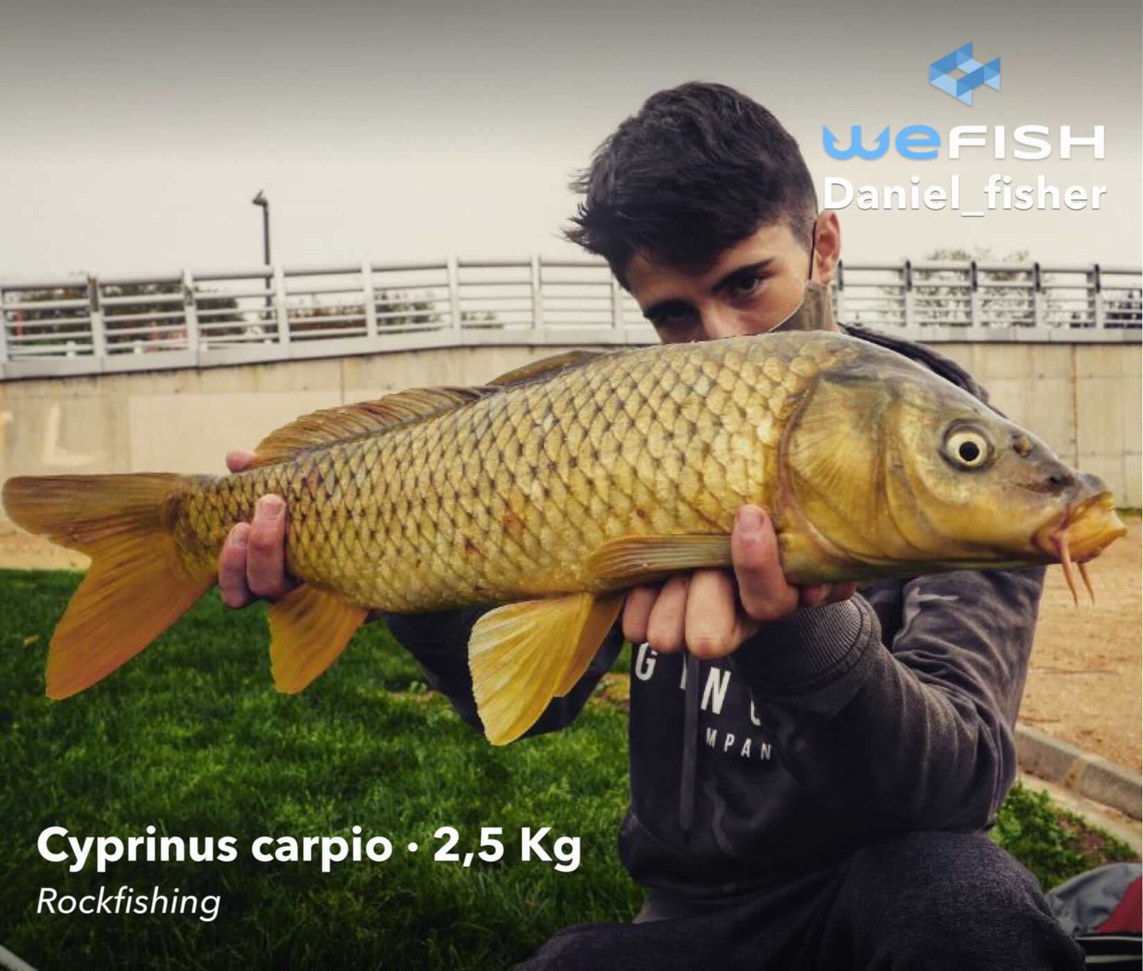 pesca en Madrid