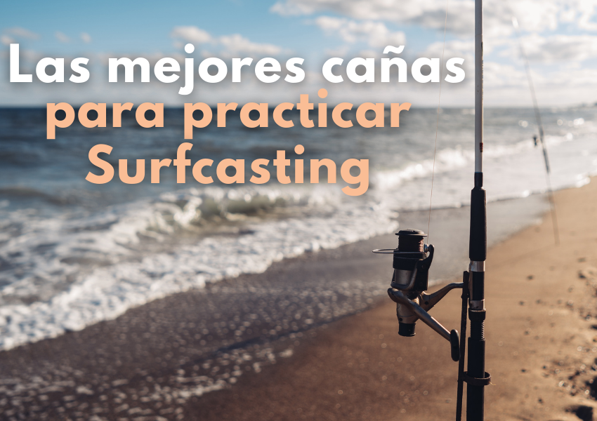 Senador Catarata Locura Las mejores cañas para practicar surfcasting 2021 - WeFish