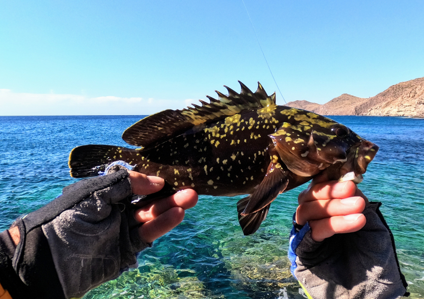 fotos de pesca