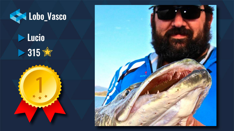 Lobo Vasco WeFish