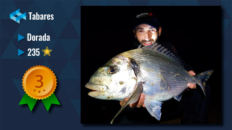 Tabares WeFish
