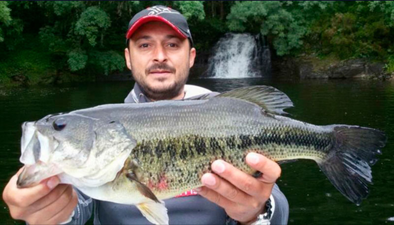 Benito Blanco Wefish