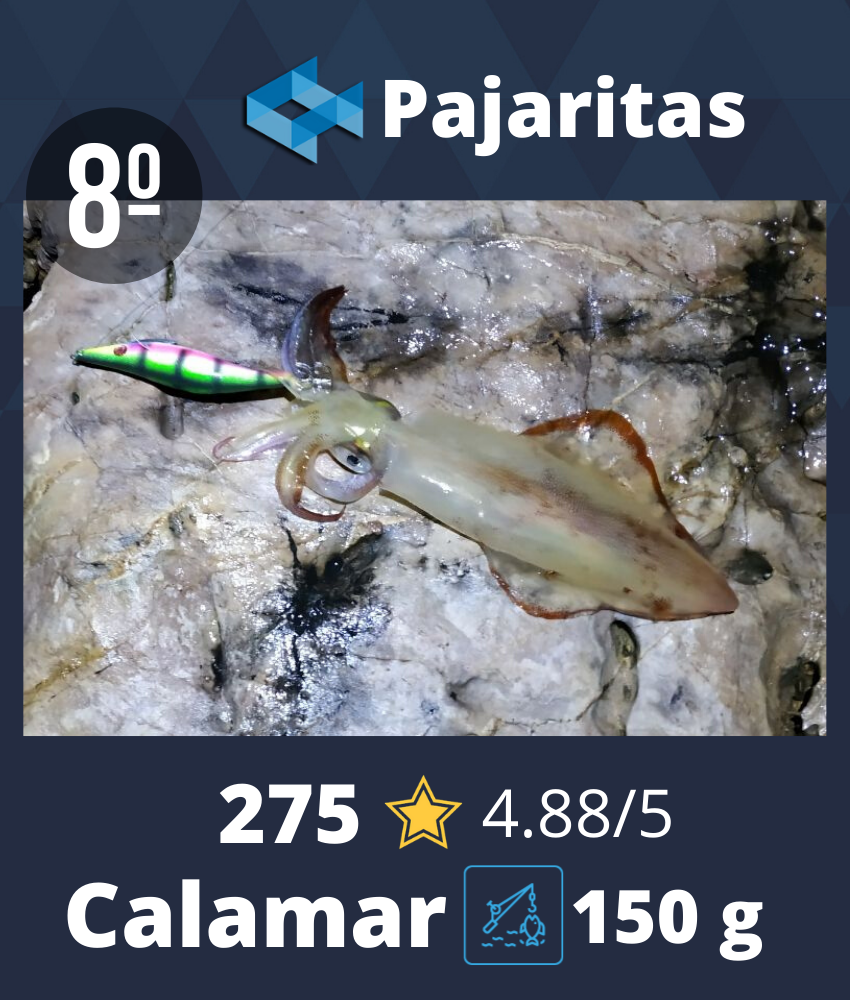 Pesca de calamar WeFish