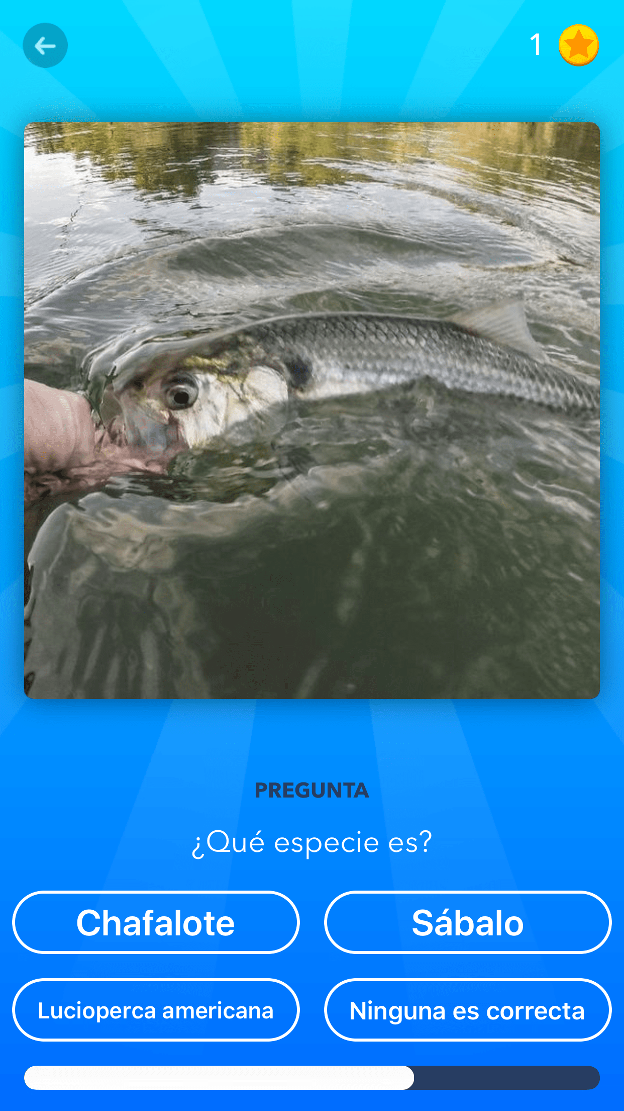 <a href=