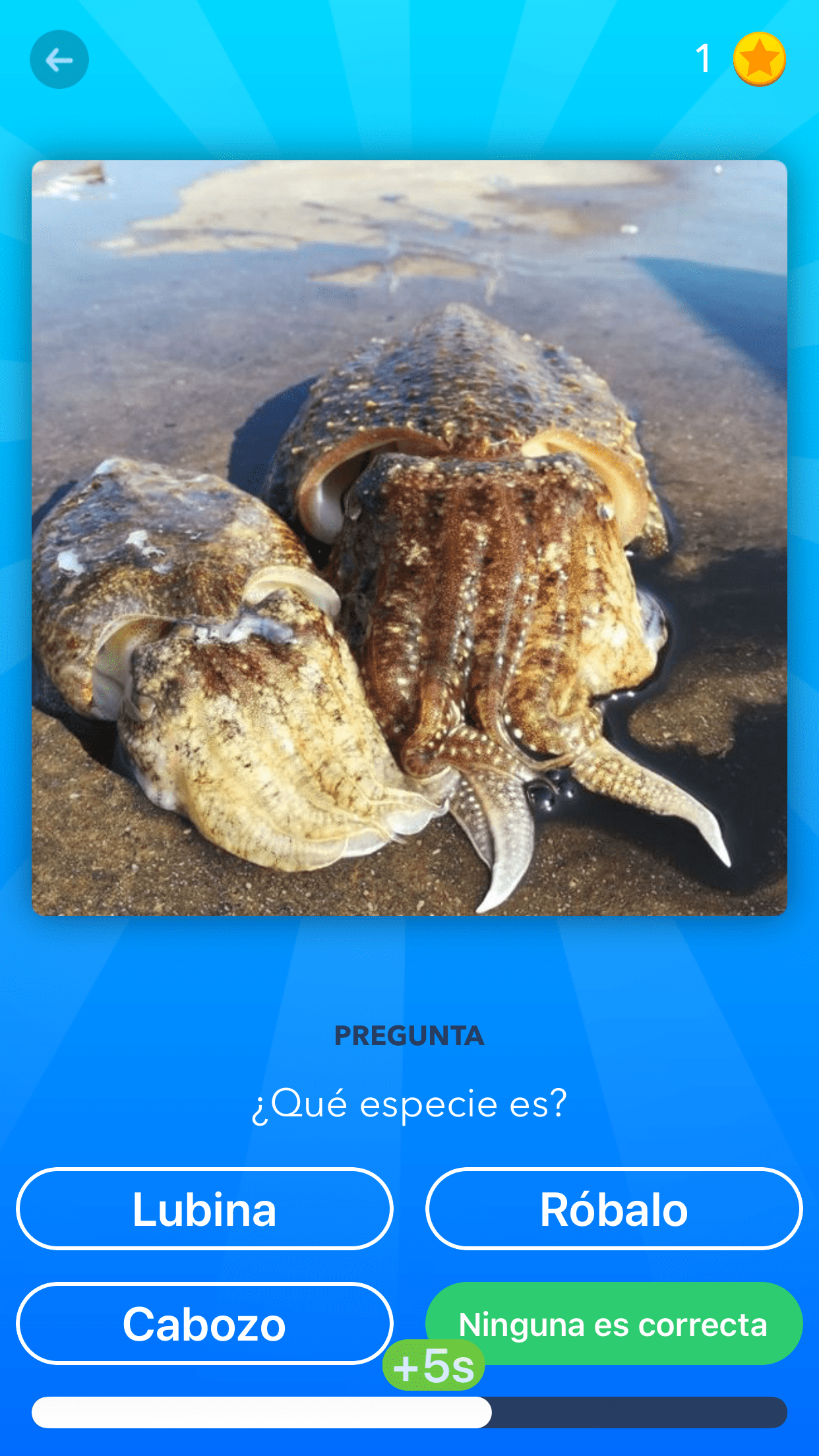 <a href=