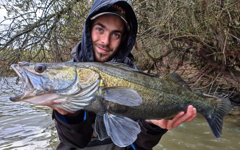Tutorial WeFish
