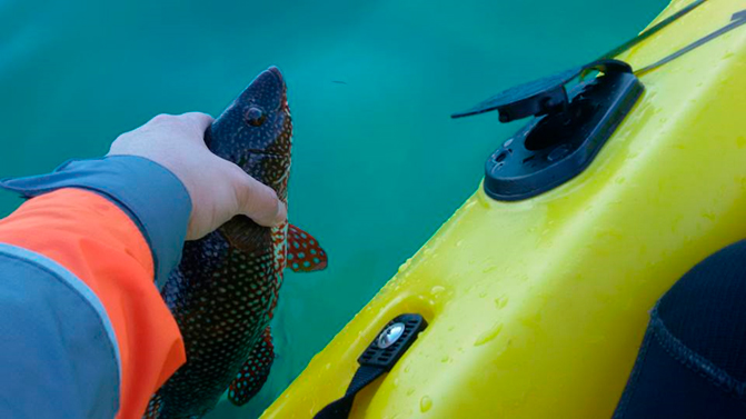 Club Pescacies