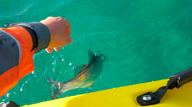 Club Pescacies
