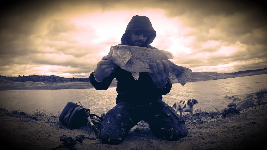 Hoy conocemos a: Pesca de Depredadores Hoy conocemos a: Pesca de Depredadores