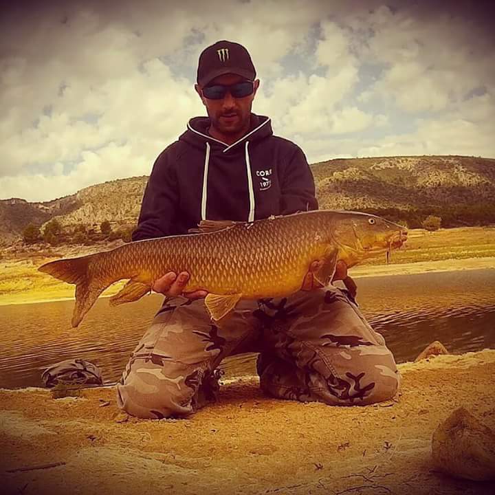 Pesca de Depredadores