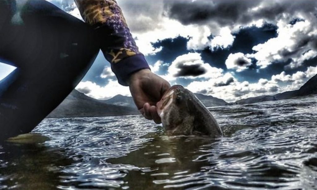 Dizzy Duck Fishing