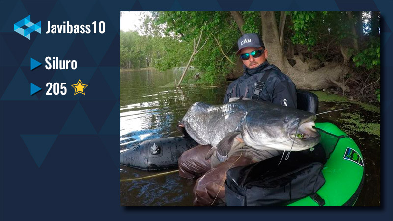 Javibass10 WeFish
