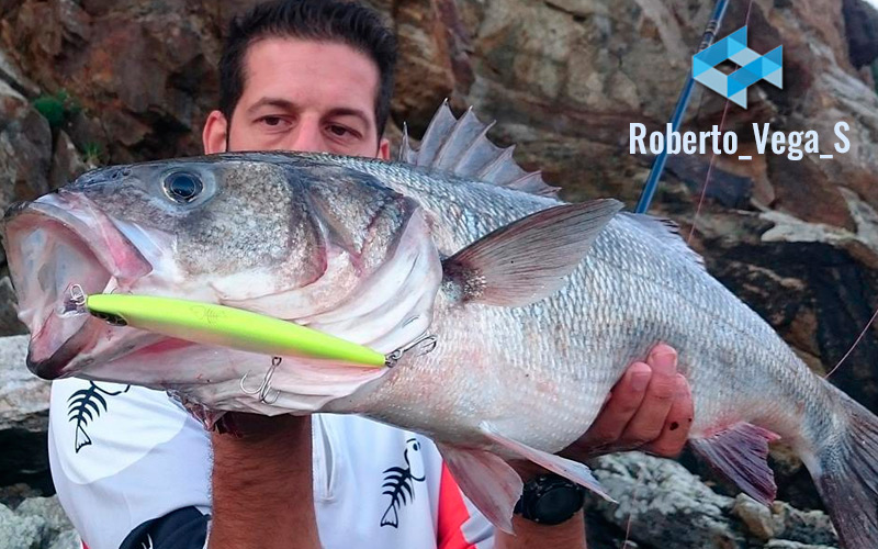 Roberto Vega Spanish Lures