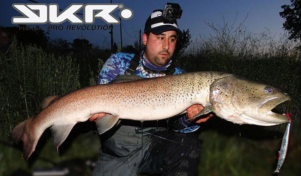 alvaro gil wefish