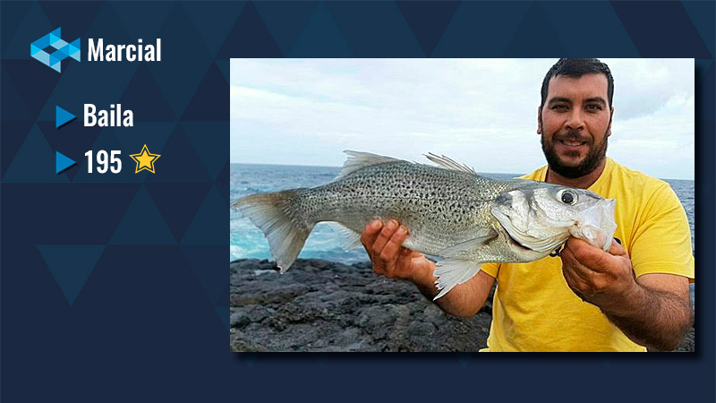 Marcial WeFish