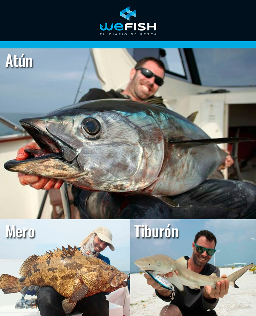 El mejor pescador del mar