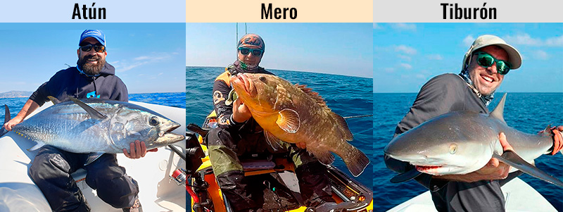 Reto WeFish