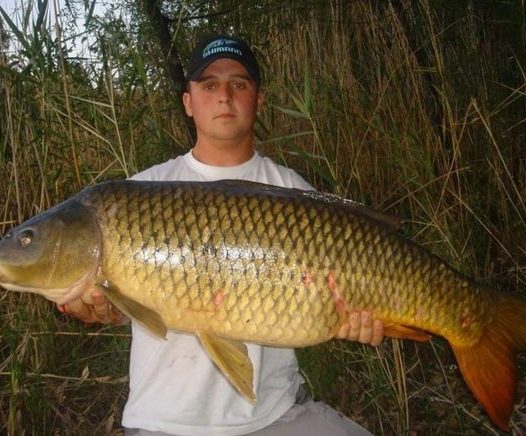 Carlos Diestro WeFish