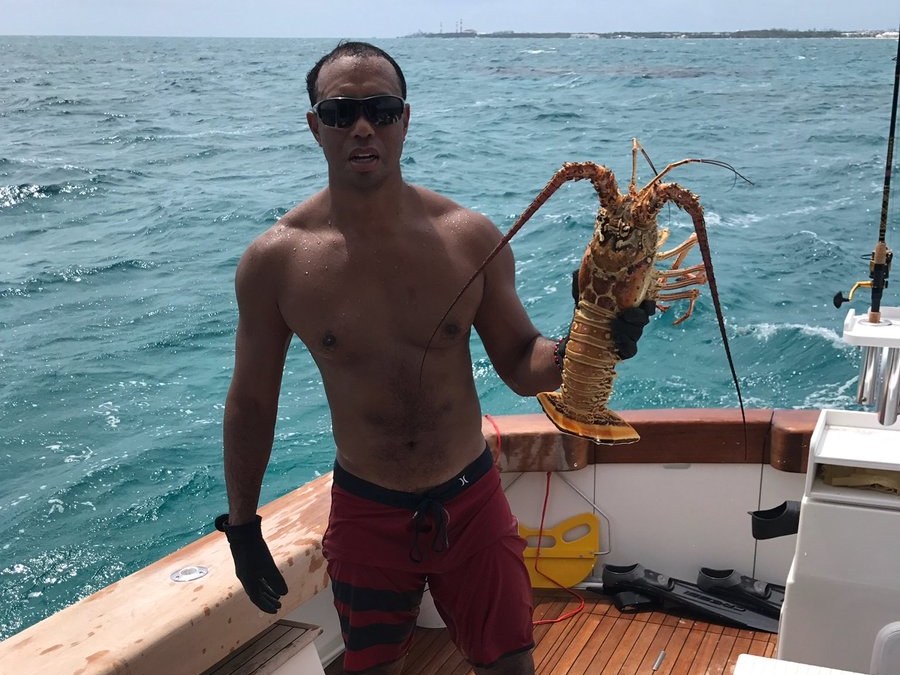 Tiger Woods lobster
