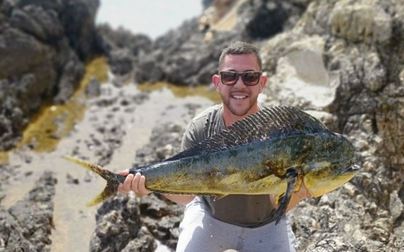 pez dorado llampuga