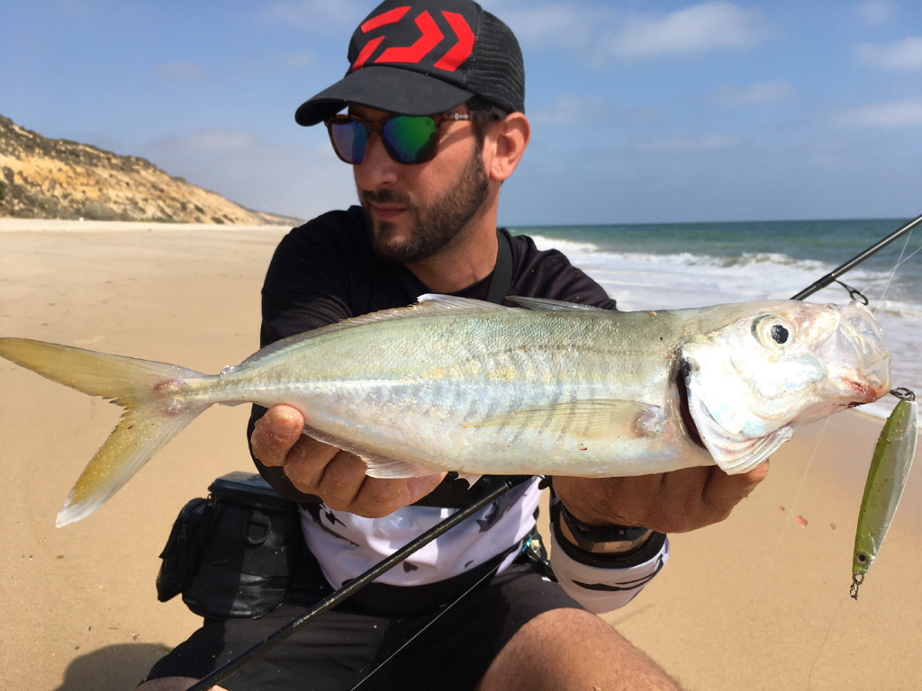 WeFish entrevista Basi Soto