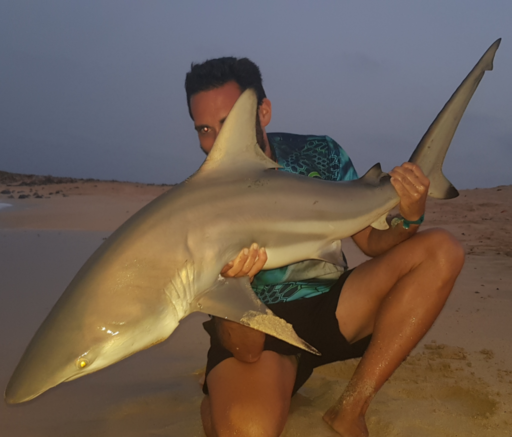 La pesca de tiburones