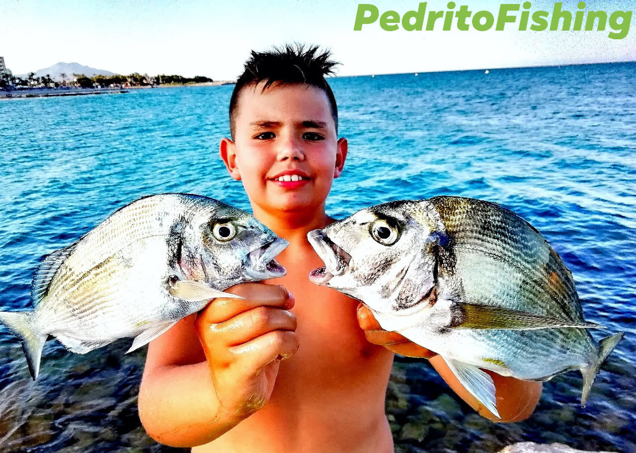 Usuario WeFish PedritoFishing