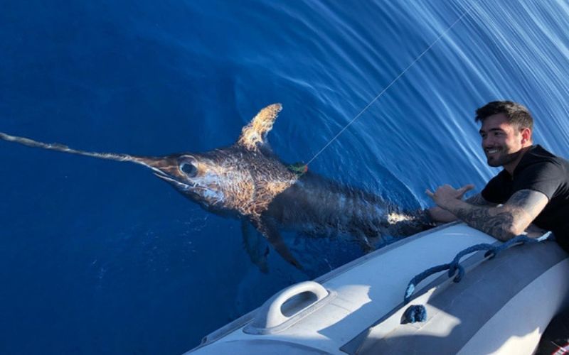 Pez Espada WeFish