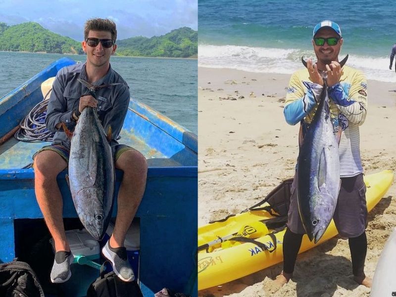 10 especies más rápidas del océano WeFish