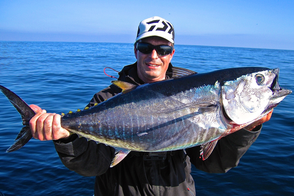 Atún Rojo WeFish