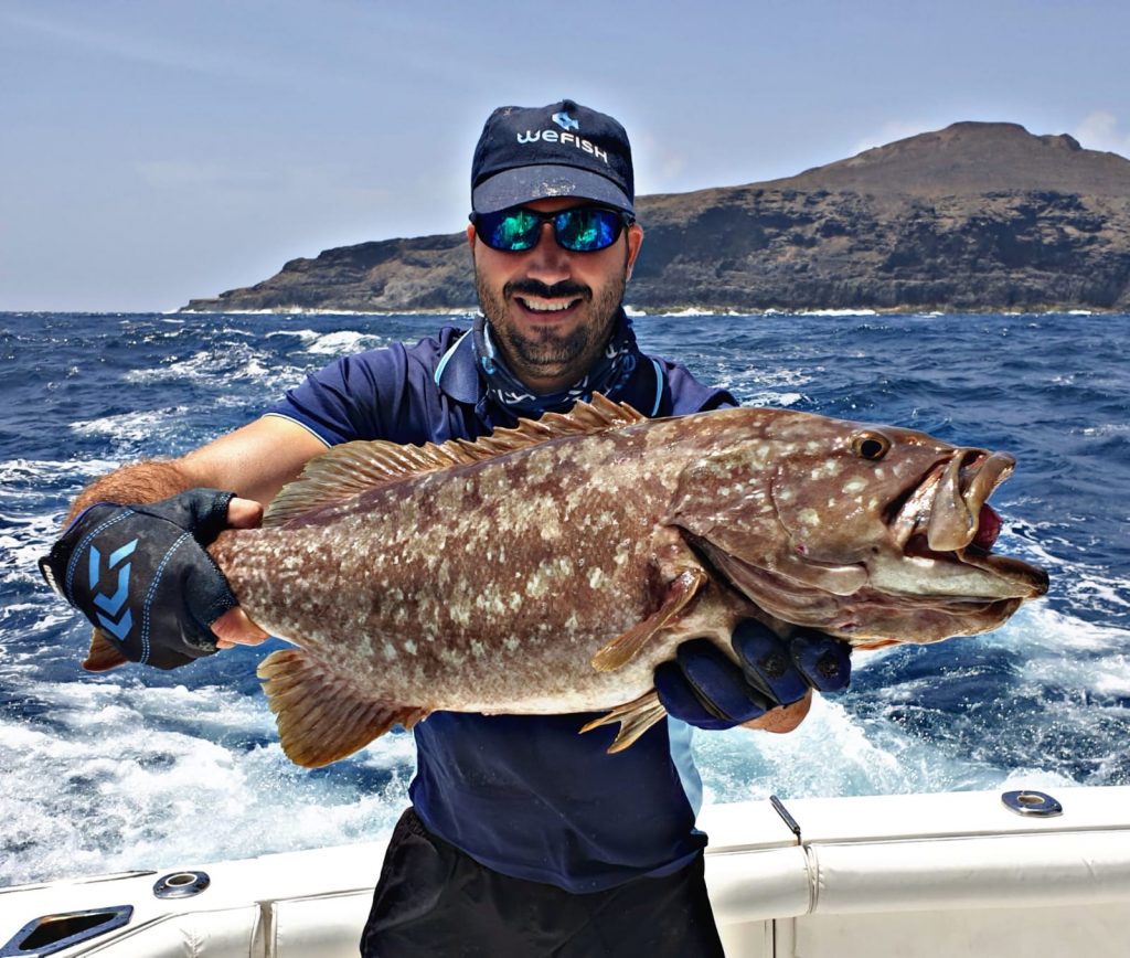 grouper fish grouper fish