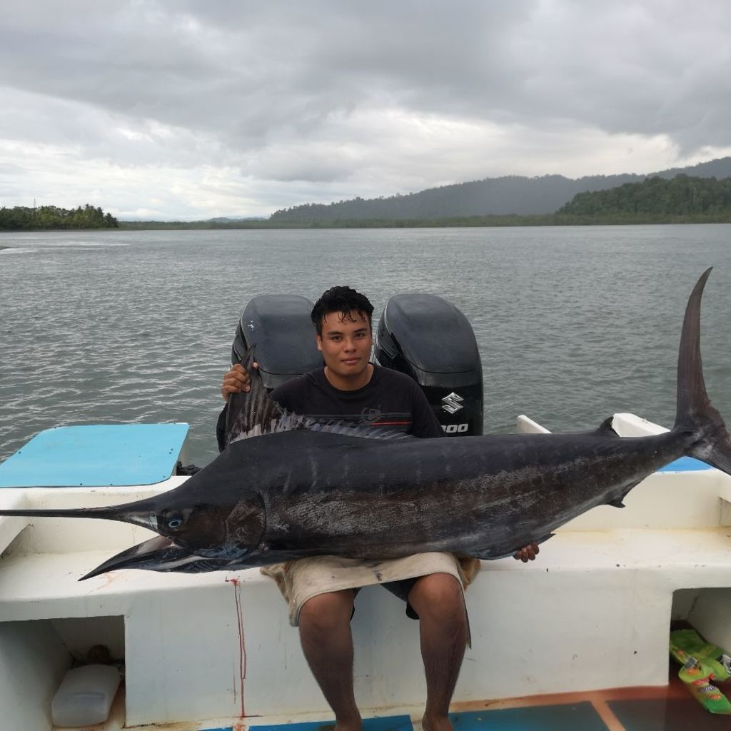 Marlin