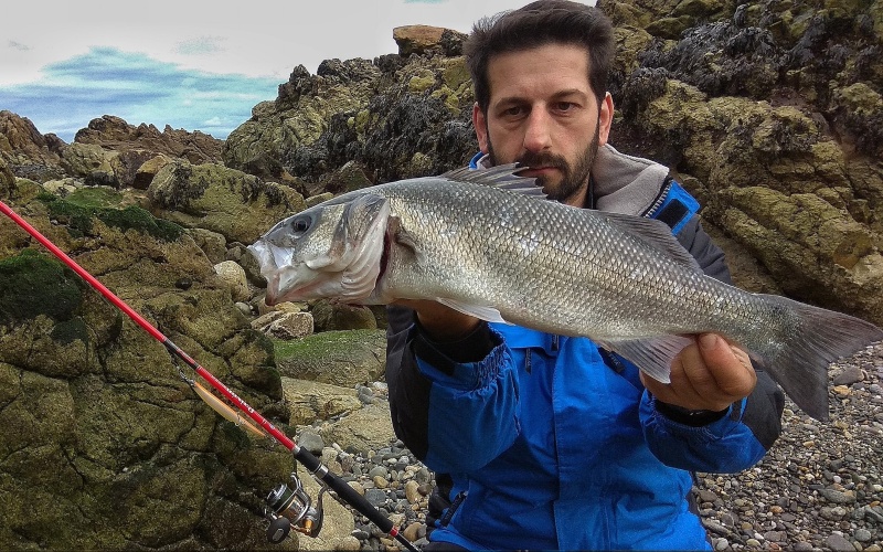 Cómo pescar róbalos