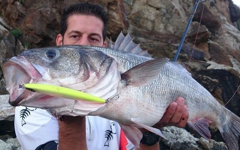 La pesca de lubina