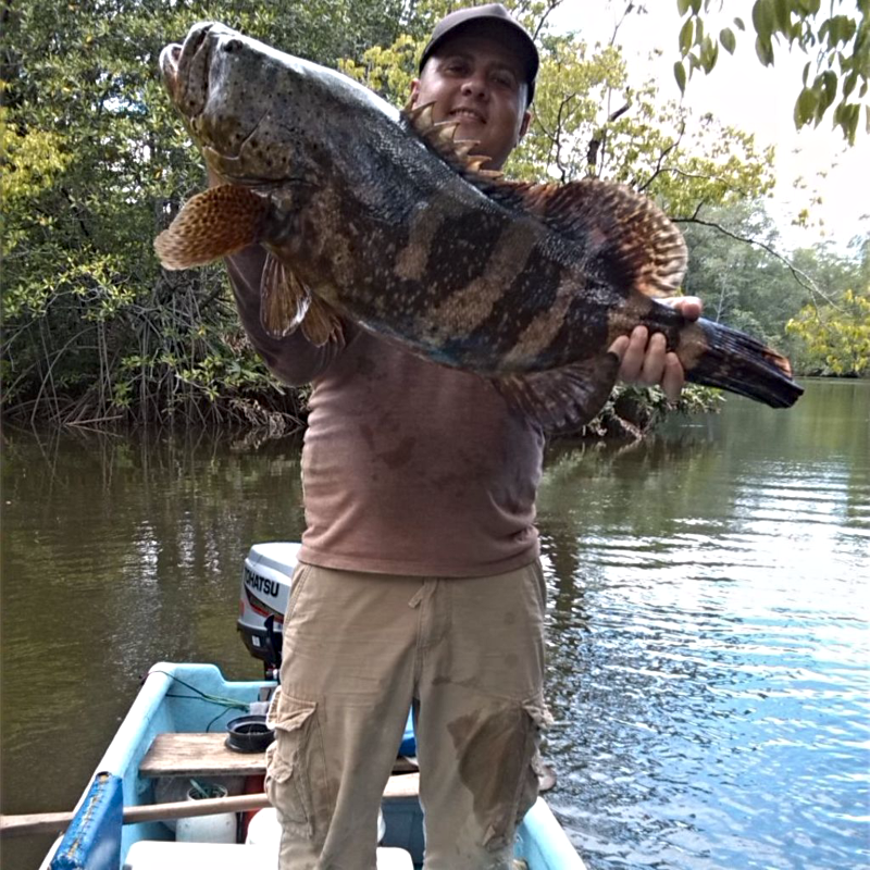 Grouper Fishing