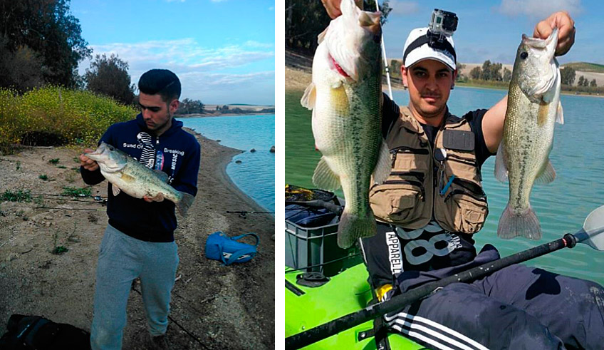 Record Black Bass